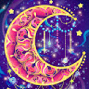 Meet your Posher, Addison